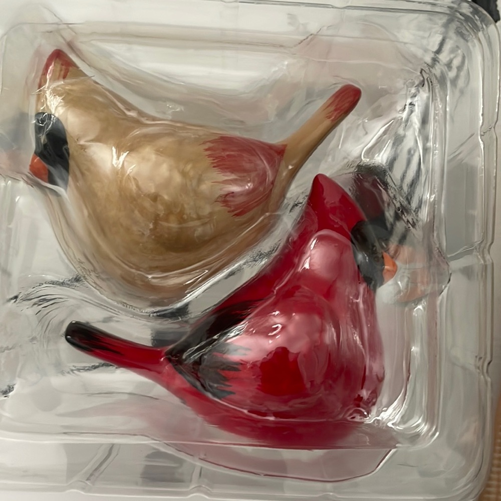 Salt and Pepper Cardinals New